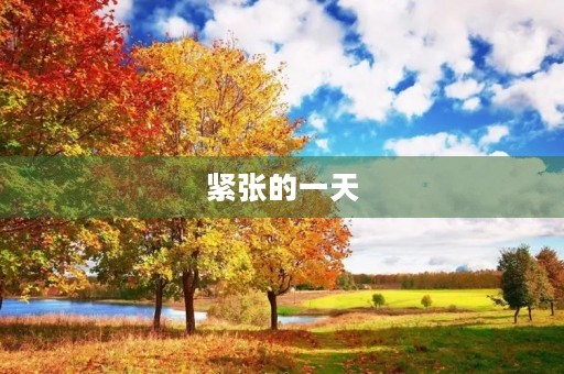 紧张的一天