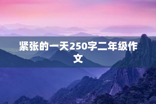紧张的一天250字二年级作文