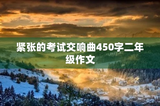 紧张的考试交响曲450字二年级作文