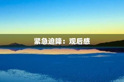 紧急迫降：观后感
