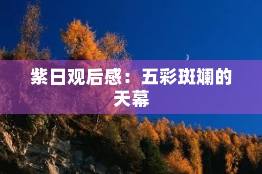 紫日观后感：五彩斑斓的天幕