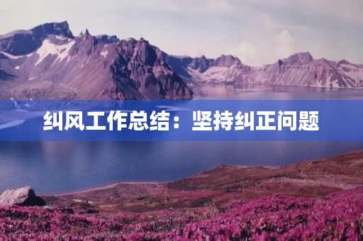 纠风工作总结：坚持纠正问题，促进发展
