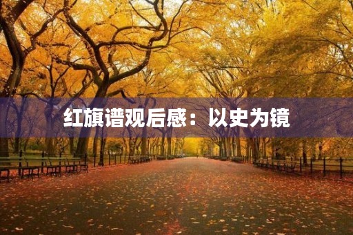 红旗谱观后感:以史为镜,自强不息 红旗谱观后感:以史为镜,自强不息