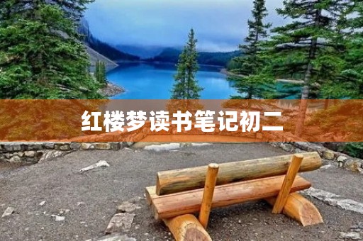 红楼梦读书笔记初二