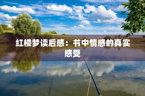 红楼梦读后感：书中情感的真实感受