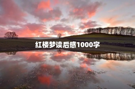 红楼梦读后感1000字 红楼梦读后感1000字