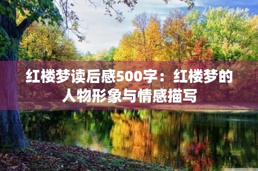 红楼梦读后感500字：红楼梦的人物形象与情感描写