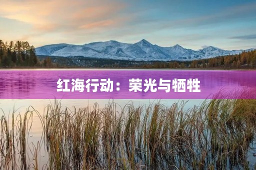 红海行动:荣光与牺牲 红海行动:荣光与牺牲
