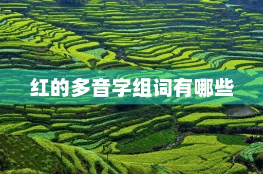 红的多音字组词有哪些(红的拼音)