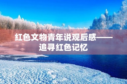 红色文物青年说观后感——追寻红色记忆，传承红色精神