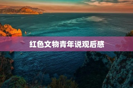 红色文物青年说观后感