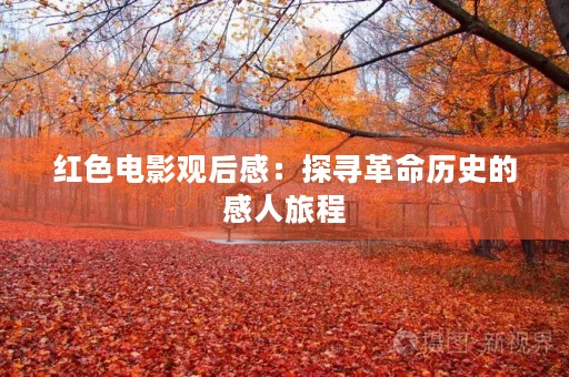 红***观后感:探寻革命历史的感人旅程 红***观后感:探寻革命历史的感人旅程