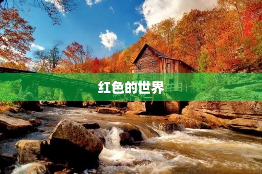 红色的世界 红色的世界