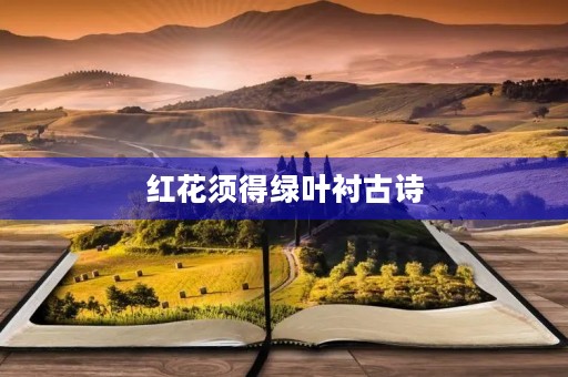 红花须得绿叶衬古诗,红花须得绿叶配下一句 红花须得绿叶衬古诗,红花须得绿叶配下一句