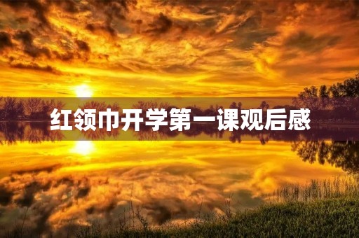 红领巾开学第一课观后感