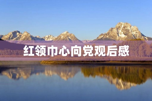 红领巾心向党观后感