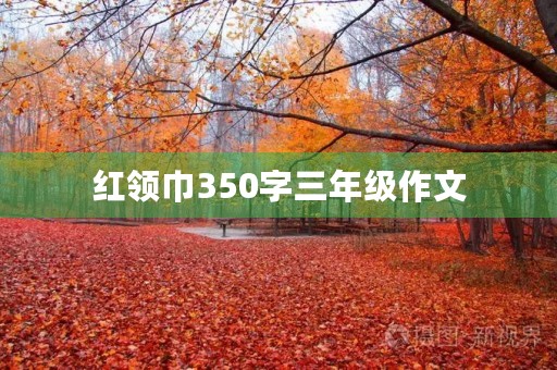 红领巾350字三年级作文