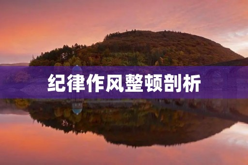 纪律作风整顿剖析