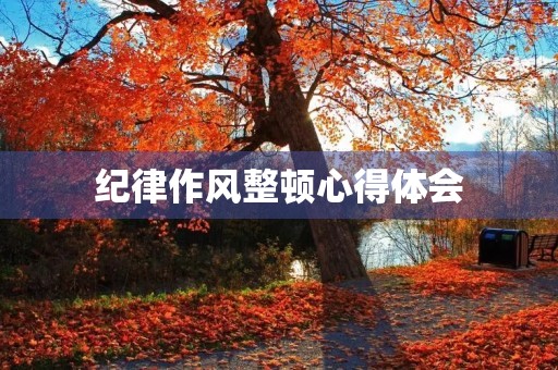 纪律作风整顿心得体会