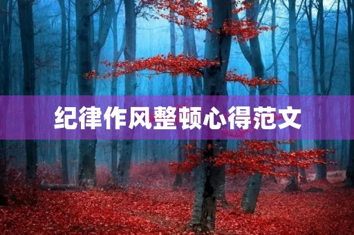 纪律作风整顿心得范文