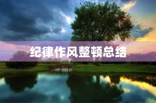纪律作风整顿总结