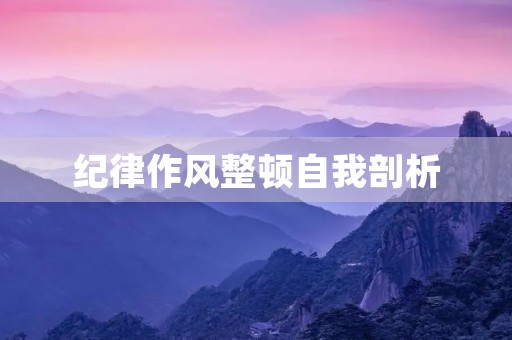 纪律作风整顿自我剖析