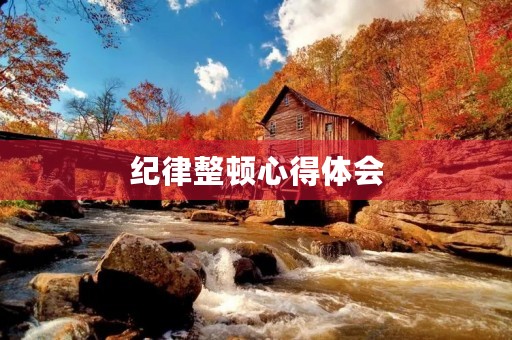 纪律整顿心得体会