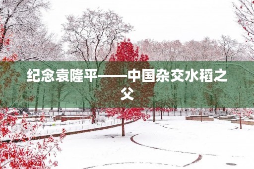 纪念袁隆平——中国杂交水稻之父 纪念袁隆平——中国杂交水稻之父