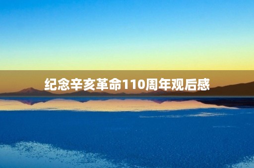 纪念辛亥革命110周年观后感