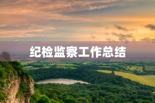 纪检监察工作总结