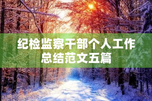 纪检监察干部个人工作总结范文五篇