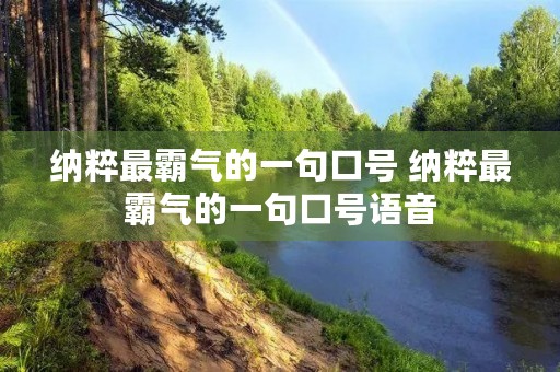 纳粹最霸气的一句口号 纳粹最霸气的一句口号语音