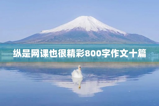 纵是网课也很精彩800字作文十篇