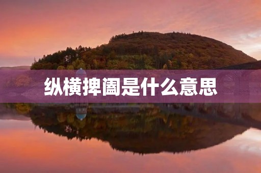 纵横捭阖是什么意思