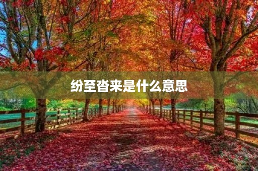 纷至沓来是什么意思