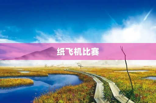 纸飞机比赛