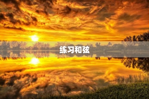 练习**