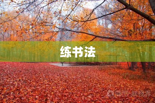 练书法