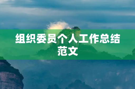 组织委员个人工作总结范文