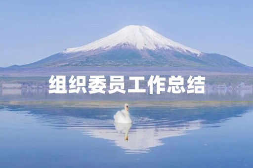 组织委员工作总结