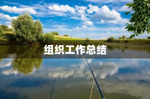 组织工作总结