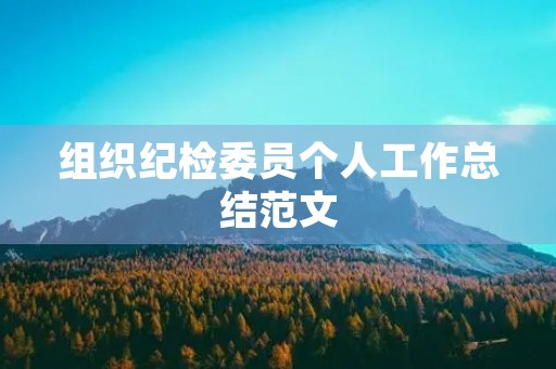 组织纪检委员个人工作总结范文