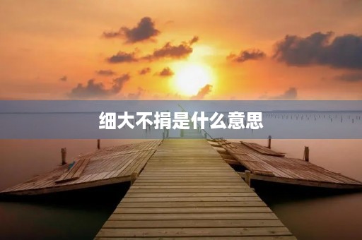 细大不捐是什么意思