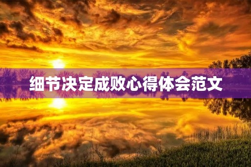 细节决定成败心得体会范文