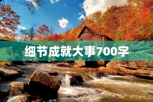 细节成就大事700字