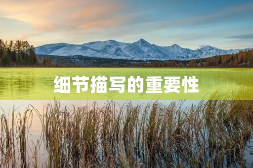 细节描写的重要性