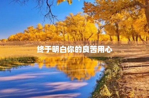终于明白你的良苦用心