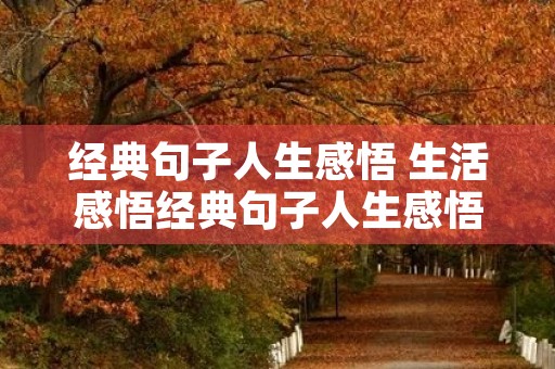 经典句子人生感悟 生活感悟经典句子人生感悟 经典句子人生感悟 生活感悟经典句子人生感悟