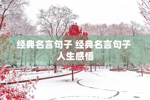 经典名言句子 经典名言句子 人生感悟