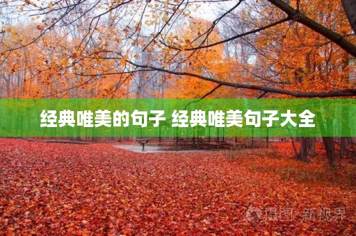 经典唯美的句子 经典唯美句子大全 经典唯美的句子 经典唯美句子大全